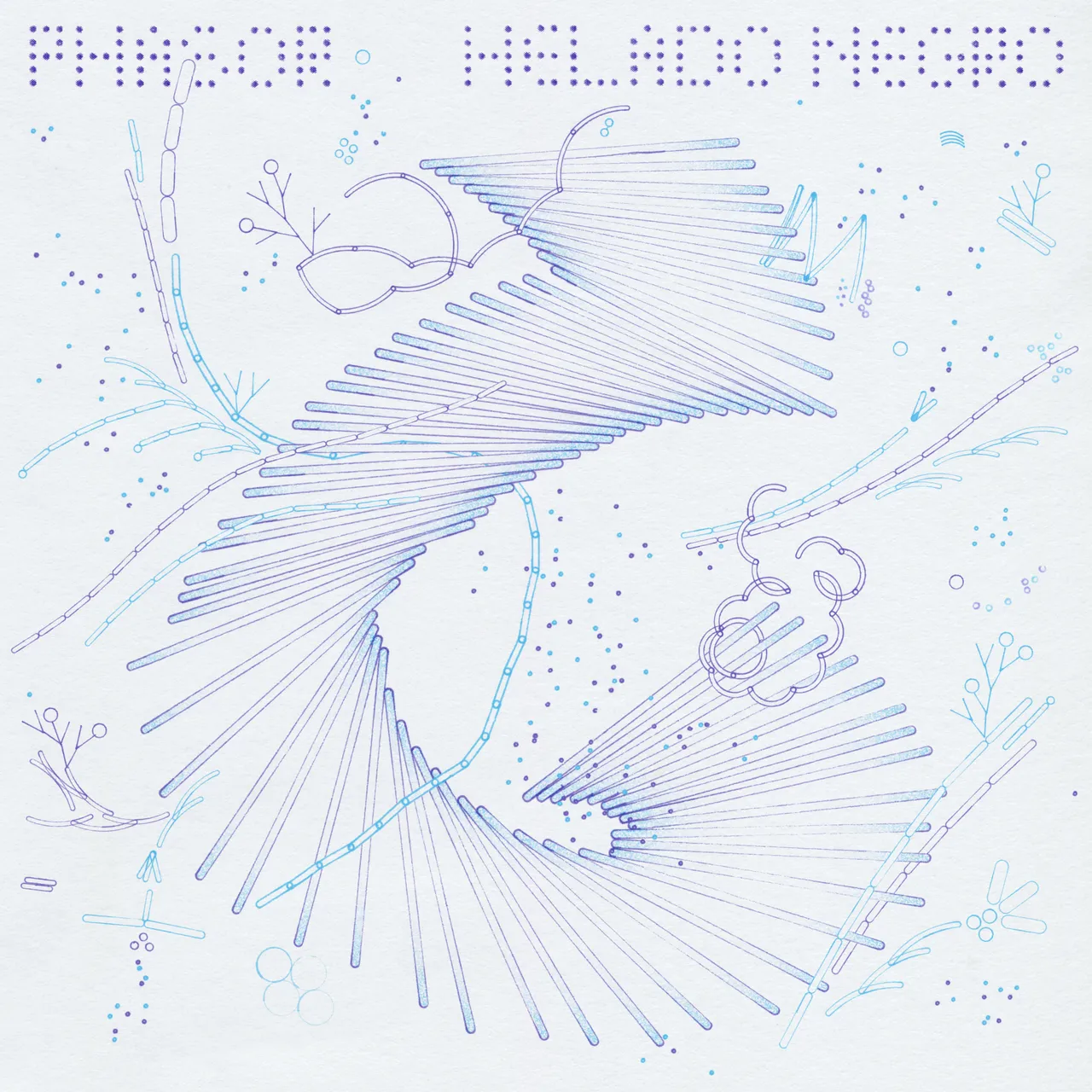 Helado-Negro-Phasor